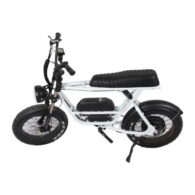 China Best Selling Standard 20 Inch Fat Tire Hammer Off Road Electric Bike For Adults for sale