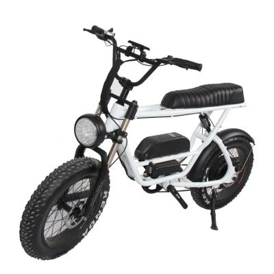 China Italian standard most popular 250w pedal assisted mountain electric bike for sale for sale