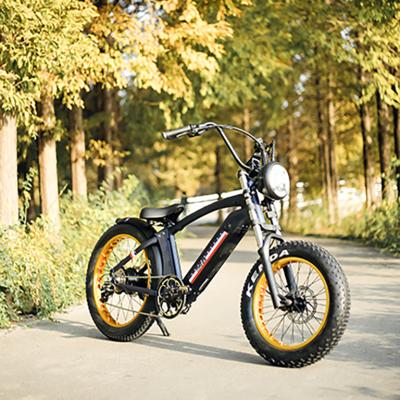 China elektro 500W luxury e bike super fashion 20 front and rear disc brake electric bike adult for sale