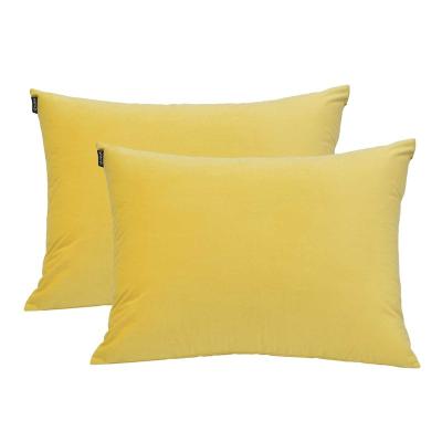 China 2021 Hot Sale Non-Toxic Polyester Pillow Cover Solid Housewife Cheap Pillowcase Cotton for Hair and Skin for sale