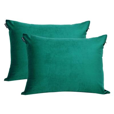 China 2021 Hot Sale Non-Toxic Polyester Pillow Cover Cheap Cotton Pillow Solid Case For Hair And Skin for sale