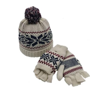 China New Wholesale 2021 Winter Daily Ladies Casual Warm Household Hat Outdoor Knitted Warm Mitten for sale