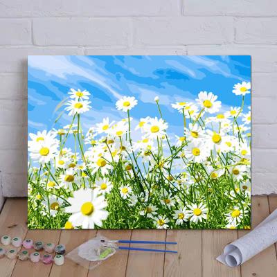 China New Export Quality Classical/Postmodern Painting By Numbers DIY Coloring Birthday Gift Handmade Figure Flower Living Room Decoration for sale