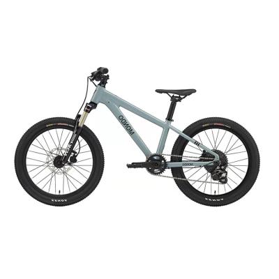 China MONDO Factory Direct Sale High Quality Kids 20 inch Trail Bike Kids MTB Shimano for sale