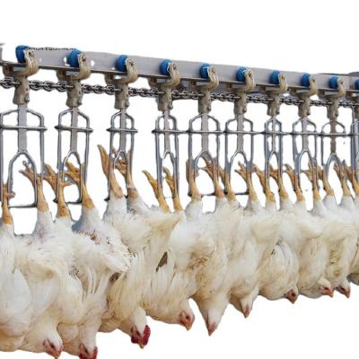 China POULTRY Chicken Slaughterhouse Equipment Poultry Slaughtering Machine for sale