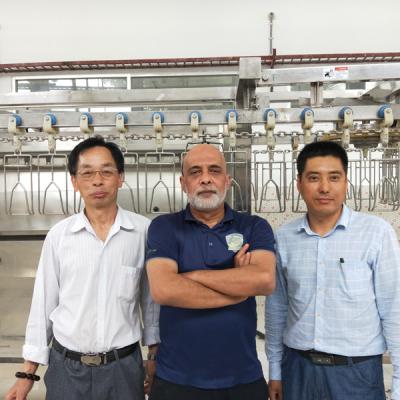 China Factory Made POULTRY Poultry Processing Equipment Slaughter Eviscerate Pre Cooling Chicken Machine / Turkey Slaughtering Project for sale