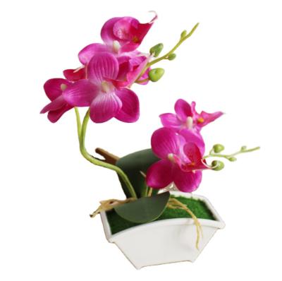 China Creative Modern Phalaenopsis Simulation Flower Ornament Plant Pots Indoor Plant Wholesale Pots for sale