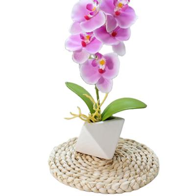 China Modern Creative Cheap Plant Pots Phalaenopsis Ornament Flower Simulation Ceramic Pots For Indoor Plants for sale