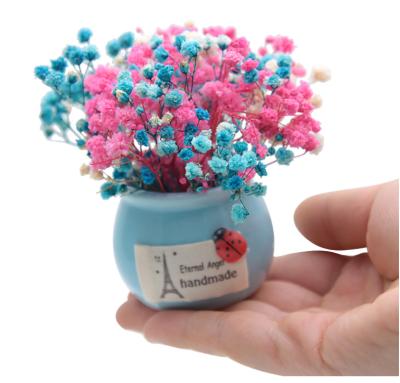 China Modern Fragrance Ornaments Hands Gifts Sky Star Dried Flowers Mini Pot Plants Small Hanging Plant Pot for sale