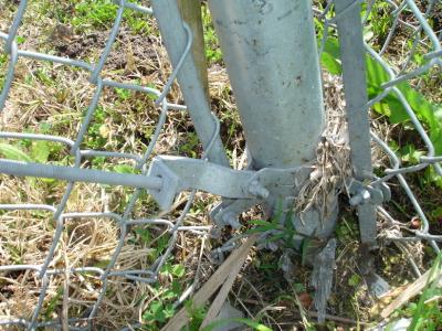 China keten verbindingsomheining voor het park en de boom, Hete Verkoopketen Verbindingsomheining voor Speelplaatspark/het Bos Beschermen Te koop