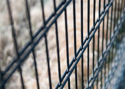 China Powder Coated Twin Wire Welded Mesh /Double Wire Mesh Fence Panels for sale