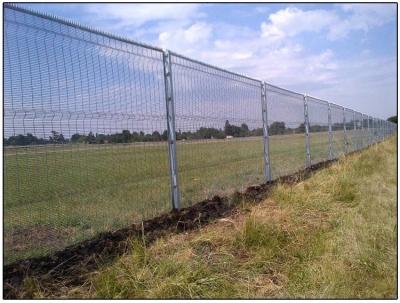 China Clear View Fence Panels Te koop