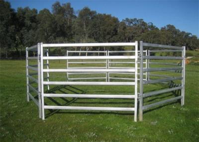 China Horse Fence Panels Te koop