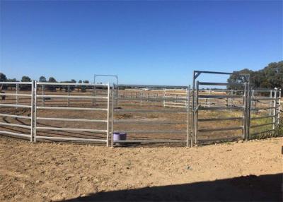 Chine cattle panels Adelaide à vendre