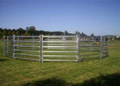 China cattle panel en venta