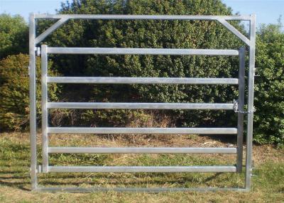 Chine cattle fencing panels à vendre