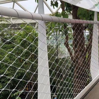 China Stainless steel wire mesh trellis for sale