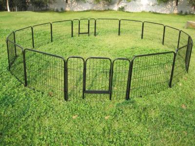 China Dog Playpen temporary dog fence en venta