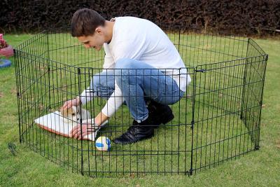 中国 Pet Playpen Dog Fence Pet Kennel Play Pen 販売のため