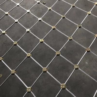 China Wire mesh for slope protection for sale