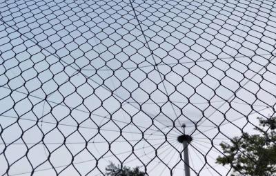 Chine SS304 316 Cable Mesh Net/Wire Rope Fence for Tensile Project X tend mesh à vendre