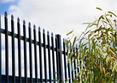 China Residential Hercules Security Stain Black Powder Crimped Spear Fencing Panels en venta