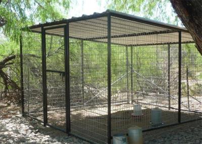 Китай Bird Aviaries 25mm*50mm diameter 3.00mm продается