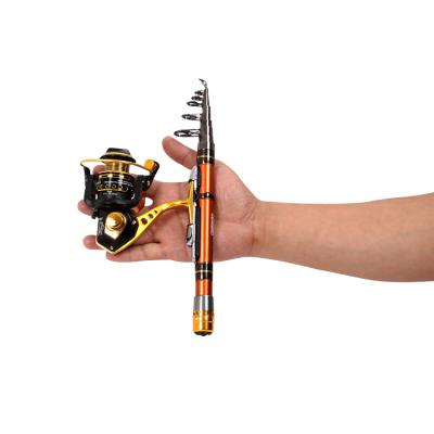 China Outdoor Pole Fishing Rod Telescopic Fishing Rods Small Mini Sea Fishing Activity Fishing Rod and Reel Set for sale