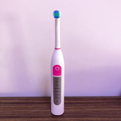 China B Battery Operated Compatible Oral Brush Head Electric Rechargeable Toothbrush ALB-910-6 for sale