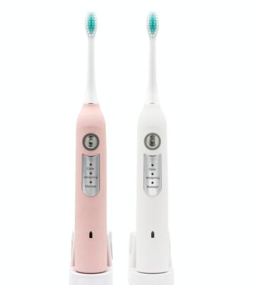 China Newest Upgrade Adult Sonic Electric Toothbrush Battery Operated With USB Cable for sale