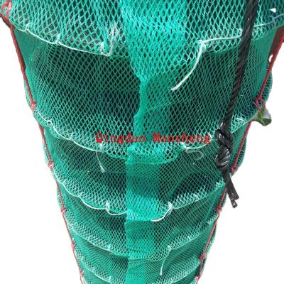 China Festoon Growing Festoon Cage / Festoon Growing Cage Festoon Net Cage for sale