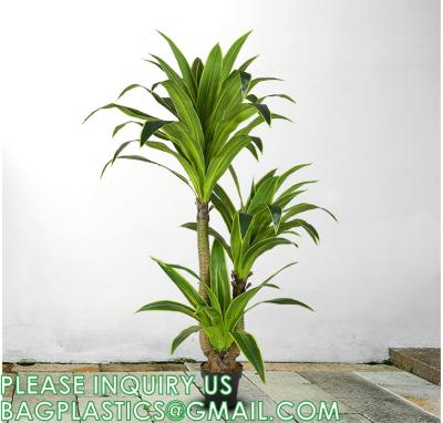 Cina Dracaena Silk Plant Artificial 5ft Faux House Plants Evergreen Dracaena Marginata Fake Yucca Palm Trees in Pot in vendita