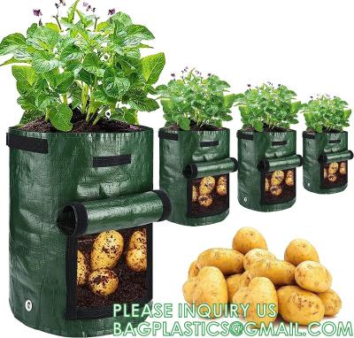 Cina Potato Grow Bags, 4 Pack 10 Gallon With Flap And Handles Planter Pots For Onion, Fruits, Tomato, Carrot - Green in vendita