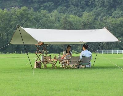 China Canopy Tent 10x10, Portable Outdoor Canopy Tent for Parties, Super Large Area Silver Layer Sunshade Wear-Resistant for sale