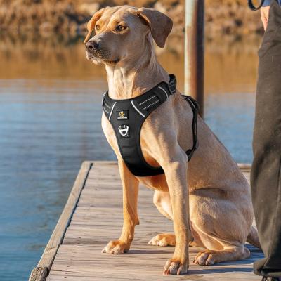 Cina Pet Supplies Upgrade No Pull Dog Harness Adjustable Soft Padded Harness Dog with Quick Release Neck Buckle in vendita