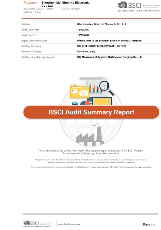 BSCI Audit - MEI  SHUN HE ELECTRONIC LIMITED  