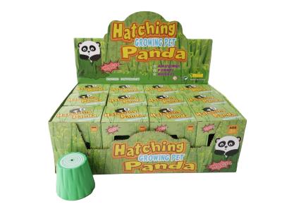 China PANDA Water Growing Hatching Panda Toy for Kids for sale