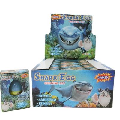 China Shark Water Climbing Hatching Shark Egg For Kids for sale