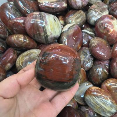 China China petrified wood gems fossils wholesale petrified wood for decoration for sale