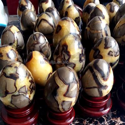 China China Natural Big Rock Gemstone Septarium Septarium Fossils Dragon Eggs For Decorations for sale