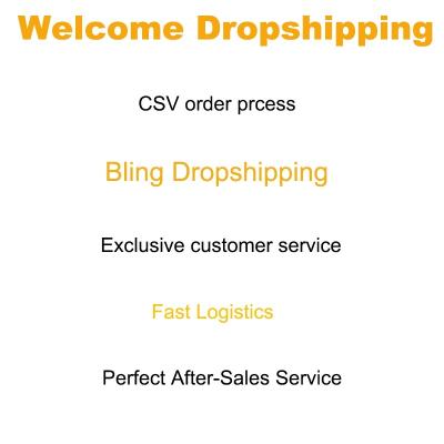 China Dropshipping agent in China worldwide free warehouse fast delivery and automatic order fulfillment all platform supported Dropshipping agent for sale