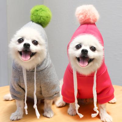 China Viable Pet Hoodie Dog Clothes Autumn Cartoon Puppy Winter Coat Teddy Pet Clothes Pure Color for sale