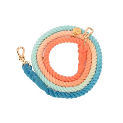 China Custom Multi Colored Durable Pet Rope Pet Rope Cotton Leash Heavy Duty Nylon Braided Nylon Dog Leashes Double Leash for sale