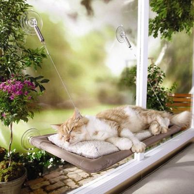 China 20kg Mechanical Wash Pet Cat Sleeping Window Hammock Bed Perch Hanging Shelf Seat Mounted In The Sun for sale