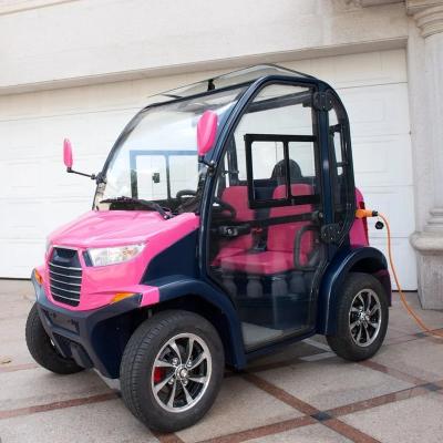 China Chinese Manufacture 2 Doors Wholesale Speedy Smart Electric Cart 2020*1170*1610mm for sale