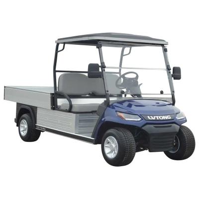 China Lvtong Mini Cart 2 Passengers Electric Golf Buggy 3630*1210*1840mm for sale