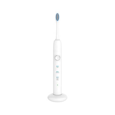 China Factory Price Battery Operated USB Charging Wireless Charger Electric Toothbrush for sale