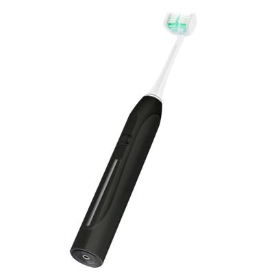 China 3D Triple Bristle Toothbrush Rechargeable Automatic Ultrasonic Toothbrush Battery Operated USB Sonic Electric Toothbrush Head for sale