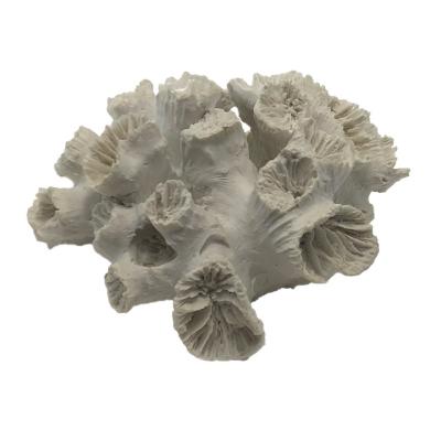 China Europe Resin Artificial White Coral Crafts For Aquarium Decoration for sale