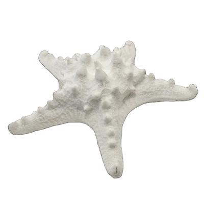 China Hot selling Europe Polyresin home decor aquarium seastar natural rough coral various colors for sale